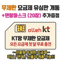 은우텔레콤 KT무제한요금제 선불유심개통, 1개, 선불데이터안심15