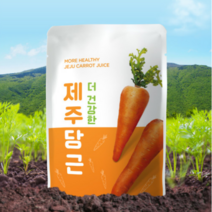 더 건강한 제주당근, 20개, 100ml