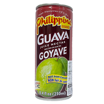 Philippine Guava Juice Nectar 필리핀 구아바 주스 250ml