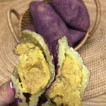 푸드품격 다이어트고구마빵 10개입 아침식사대용 저탄수 살안찌는빵 아이들 어린이 수제 영양간식