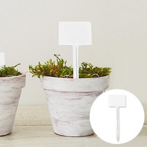 가성비 좋은 대형식물이름표 중 알뜰하게 구매할 수 있는 1위 상품