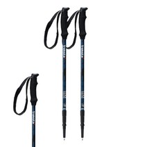[레키폴스핏파이어] NEW $130 레키 Spitfire Trigger S Compatible 스키폴 105CM 42 Downhill Skiing