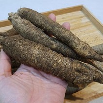 강원도 더덕 대사이즈 500g
