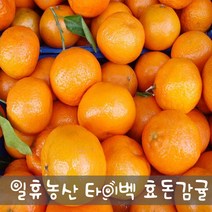 새콤달콤 고당도 효돈감귤(타이벡) 5kg - 주문당일선별발송, 10kg 작은귤