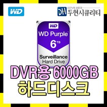 Western Digital CCTV용 저장장치 HDD, 6TB