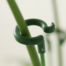 플레노 오링 식물지지대 화초 화분지지대(10개Set), 58cm(10개Set), 10개