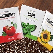 JAYART_홈가드닝 반려식물 씨앗 모종 10팩 키우기 화분키우기 텃밭가꾸기 미니 종자 기르기+jac220909, 제이아트co_메리골드
