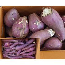 알뜰농장 실속형 못난이 파지 꿀고구마 10kg내외 왕.중.소 랜덤발송 군고구마 말랭이적합 해남.무안.영암작업, 1개, 실속형못난이파지꿀고구마왕.중.소랜덤발송10kg내외