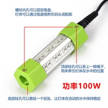 낚시 수중 집어등 케미 수중등 미니 집어등 랜턴 낚시 용품 100W 150W 200W 화이트 옐로우등, 12V100W 녹색 5m