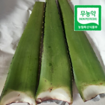 국내산 알로에 친환경 무농약 생 알로에 베라 5kg, 1개