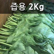 친환경 유기농 케일 쌈용 즙용, 즙용 2kg, 1개