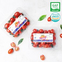 장보남 스테비아 토마토 대추토망고 500g+500g, 1박스