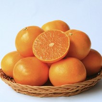 제주황금향 고당도 하우스귤 천혜향 신선한 황금향 2kg 3kg, 하우스 황금향 2kg 7-15과