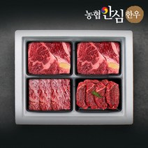 농협안심한우 구이1호 선물세트 1.2kg (등심2팩채끝안심), 단품