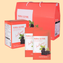 가시오갈피 가시오가피 오가피 즙 액 나무 열매 효능 진액 원액 음료 음료수 액기스 엑기스 농축액, 100ml-30포