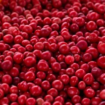 (m)[문경몰] 2022 문경 햇 오미자 당절임 7kg (열매만)