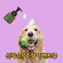 강아지 애견 천연 샴푸 펫 비숑 푸들 말티즈 포메 반려견 발 비듬 개 샴프 오가닉, 브로콜리 *민감피부*