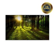 LG 올레드 TV OLED55A2ENA 스탠드&벽걸이 LG기사님 친절설치 폐가전 무상수거, 벽걸이형