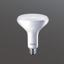 필립스 플라워링 2.0 LED 식물등 PAR 과일 국화 곡물 야채 식물 생장 램프 공장 플랜테리어 그린파워, 필립스 LED 식물등 11W 과일/야채-하얀빛