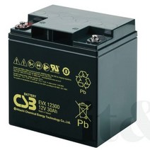 [CSB UPS 배터리] EVX12300I1, 100개