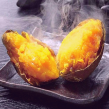 데일리잇 해남 세척 꿀고구마 베로니카, 10Kg, 비세척 못난이