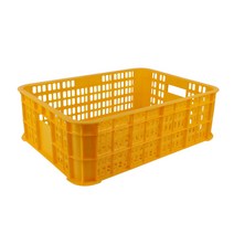 계육상자 노랑 초록 닭상자 닭박스 (플라스틱 식품 창고정리)