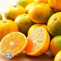 서귀포 하례마을 하우스감귤 3kg (소과 실중량), 단품