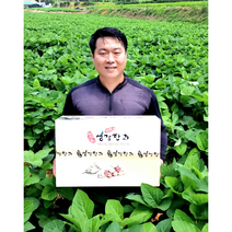 수제 생강 한과 선물세트 2kg 이조팜, 산자만 4