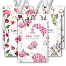 올레비엔 종이방향제 옷장방향제 샤쉐 소형10g-1개/차량용방향제/신발장, 사쉐소형-트루러브