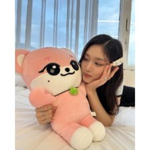 아이브인형 굿즈 미니브 45cm 인형 장원영 안유진 이서 가을 레이 리즈 캐릭터, Erang-e (이서) 45cm