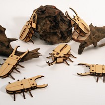 크래빗 [곤충 만들기] 엄마표 집콕놀이 diy 만들기 키트 세트 어린이 조립 장난감, 넓적사슴벌레