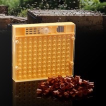 양봉 꿀벌 여왕 사육 셀 컵 상자 키트 플라스틱 벌집 여왕벌 케이지 격리 장비, [02] 120Pcs and 1Pcs box