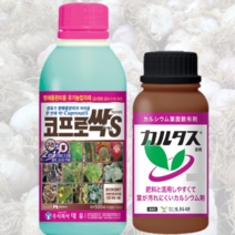 대유 코프로싹 + 카르타스 칼슘 마늘 잎마름병 잎마름증 예방