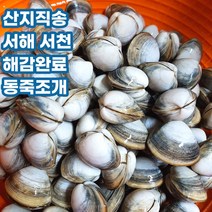 산지직송 서해안 서천 해감 동죽 동죽조개 물총조개 1kg 2kg 3kg 5kg, 동죽조개_5kg