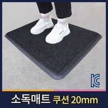 월드그린 KC인증 소독용발판 신발소독기 현관 소독매트 방역매트, 블랙, 1개