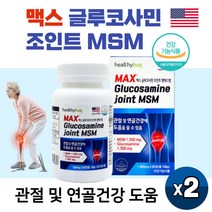 미국직수입 맥스 MSM 글루코사민 조인트 엠에스엠 디메틸설폰 추천 상어연골분말 초록입홍합분말 피쉬콜라겐 함유 관절 연골 건강 기능성 식약처인증, 60정 X 2박스