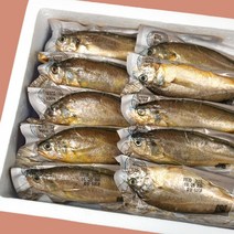 제주 참조기 10마리 산지직송 손질 반찬 선물 제사 제수용 국내산 조기, 대 450g이상 2줄 (10마리)