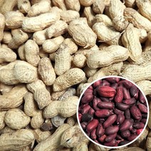 검정피생땅콩 100g 국산 흑땅콩 생땅콩 검정피땅콩 껍질땅콩 쪽빛누리