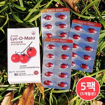 라이코펜 토마토효능 항산화제 라이코마토 15mg 5팩(5개월분), 단품, 단품