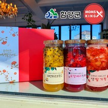 [함양군]딸기엄마 달콤함이 머무는 3종 수제청 선물세트(딸기+로얄베리+패션후르츠망고), 단품