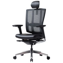 듀오백 브라보 BR-200L 등판메쉬의자, 블랙