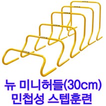 체육수업 순발력강화 훈련 스타스포츠 뉴 미니허들(30cm) 축구 기초훈련 허들 점프훈련 스타 뉴 미니허들(30cm) 점프훈련 순발력훈련 허들