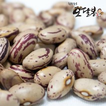 힘찬농부오달봉 수입 매화콩 호랑이콩 강낭콩 울타리콩 새알콩 제비콩, 1포, 수입매화콩20kg(5kg*4)