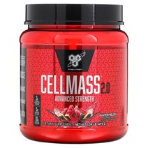 BSN 셀매스 2.0 운동후 부스터 아틱베리 수박 495g, 1개
