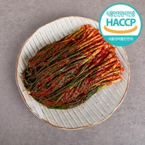 우먼키친 당일제조 100% 국산재료 전라도 파김치, 2kg