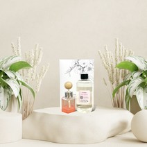 어느멋진날 디퓨저 작은정원향 [ 차량용세트 250ml (공병+스틱+리필오일250ml+선물박스) ], 핑크