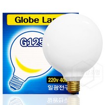 일광전구 백열 볼 전구 G125 40W 불투명, 전구색(노란빛), 일광볼G125_40W(불투명)