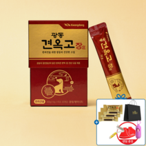 광동 견옥고 장+쇼핑백 활샘플3P 랜덤증정품 강아지 한방 영양제 장건강 면역 기능 전연령 반려견 액상 간식