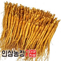 더굿진생 금산인삼 수삼 원수삼 난발삼 못난이 파삼 350g, 1개, (세척안함)식당알뜰형350g(55~70뿌리