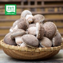 [생산자직송] 초정 무농약 송화고버섯 700g/1kg(혼합), 송화고(혼합)1kg